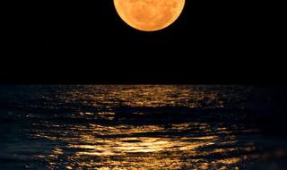 月亮很圆是什么意思 月亮很圆是什么意思