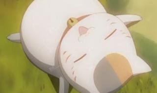 有妖气动画 有妖气动画